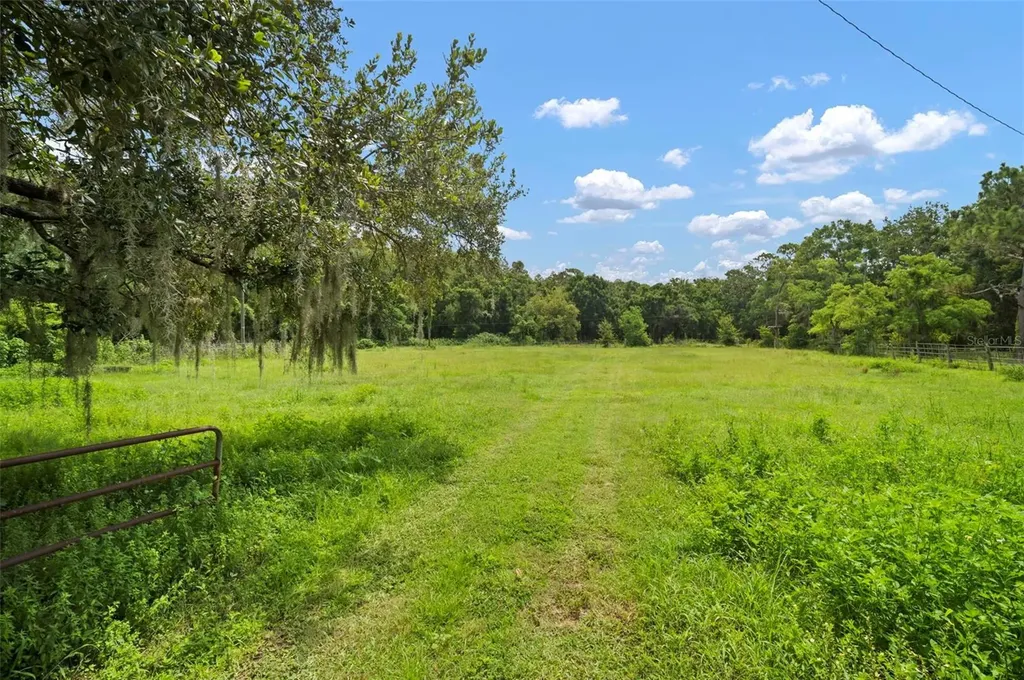1934 Rowland Drive Odessa FL 33556