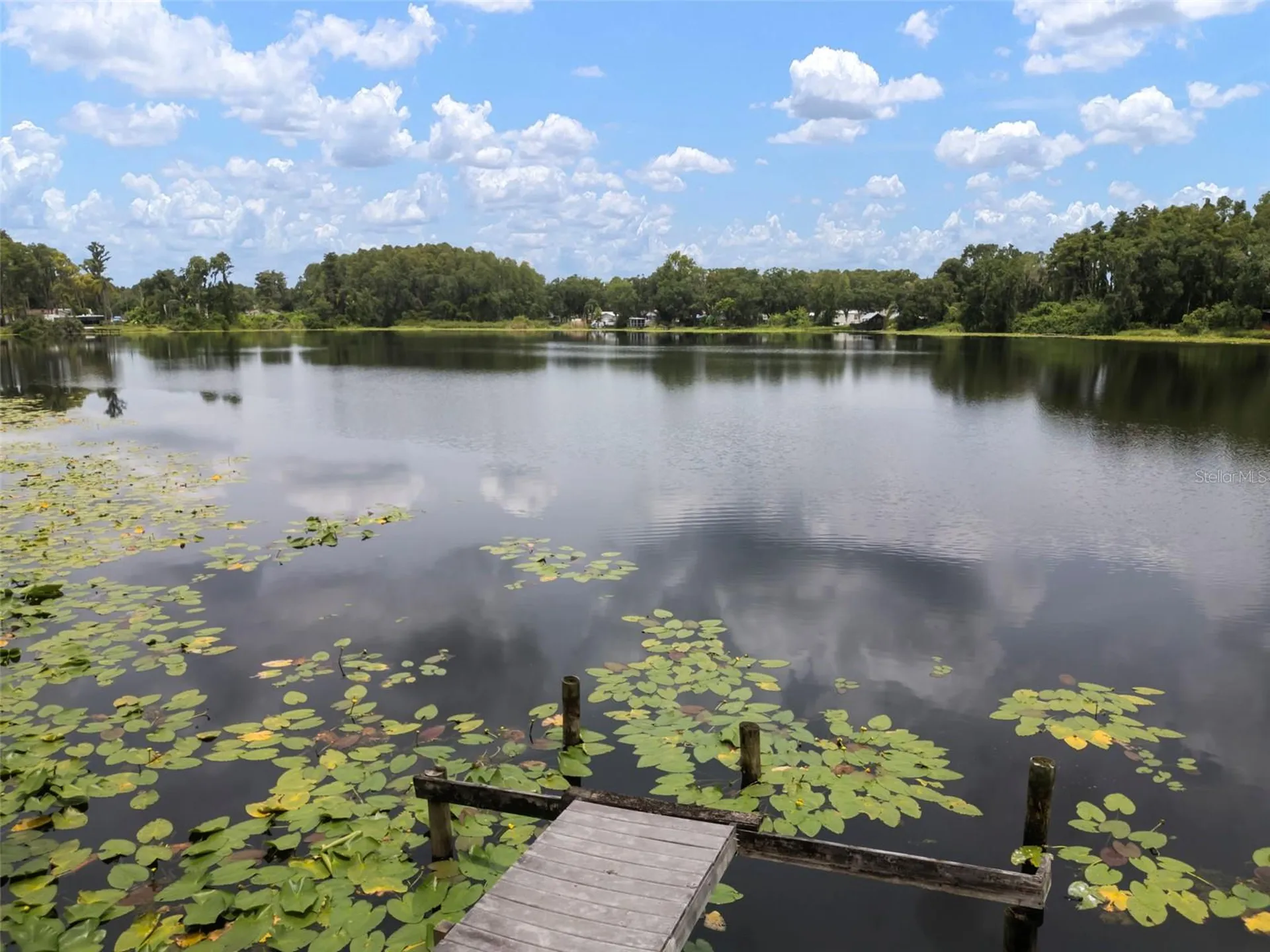1934 Rowland Drive Odessa FL 33556