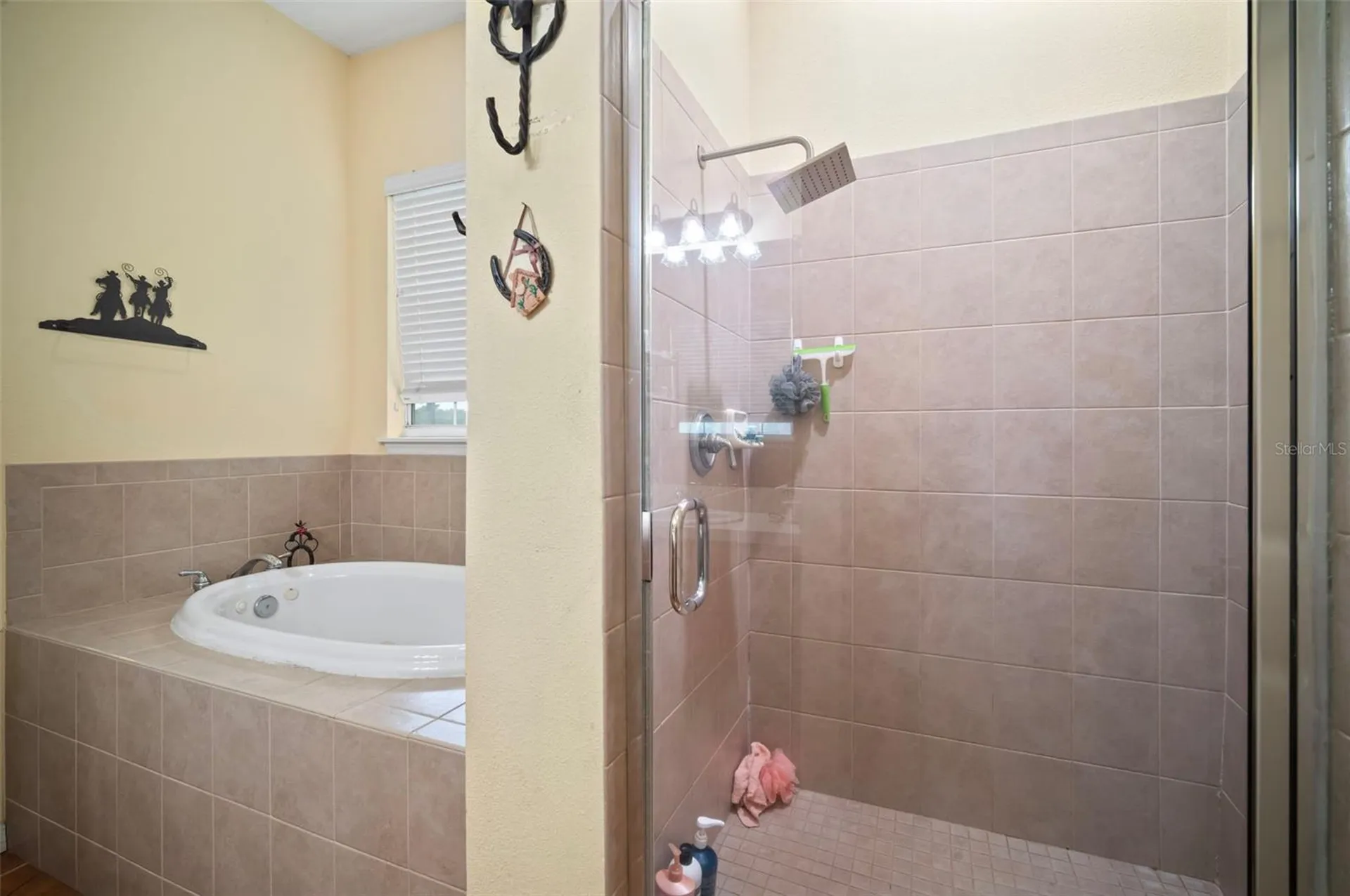 1934 Rowland Drive Odessa FL 33556