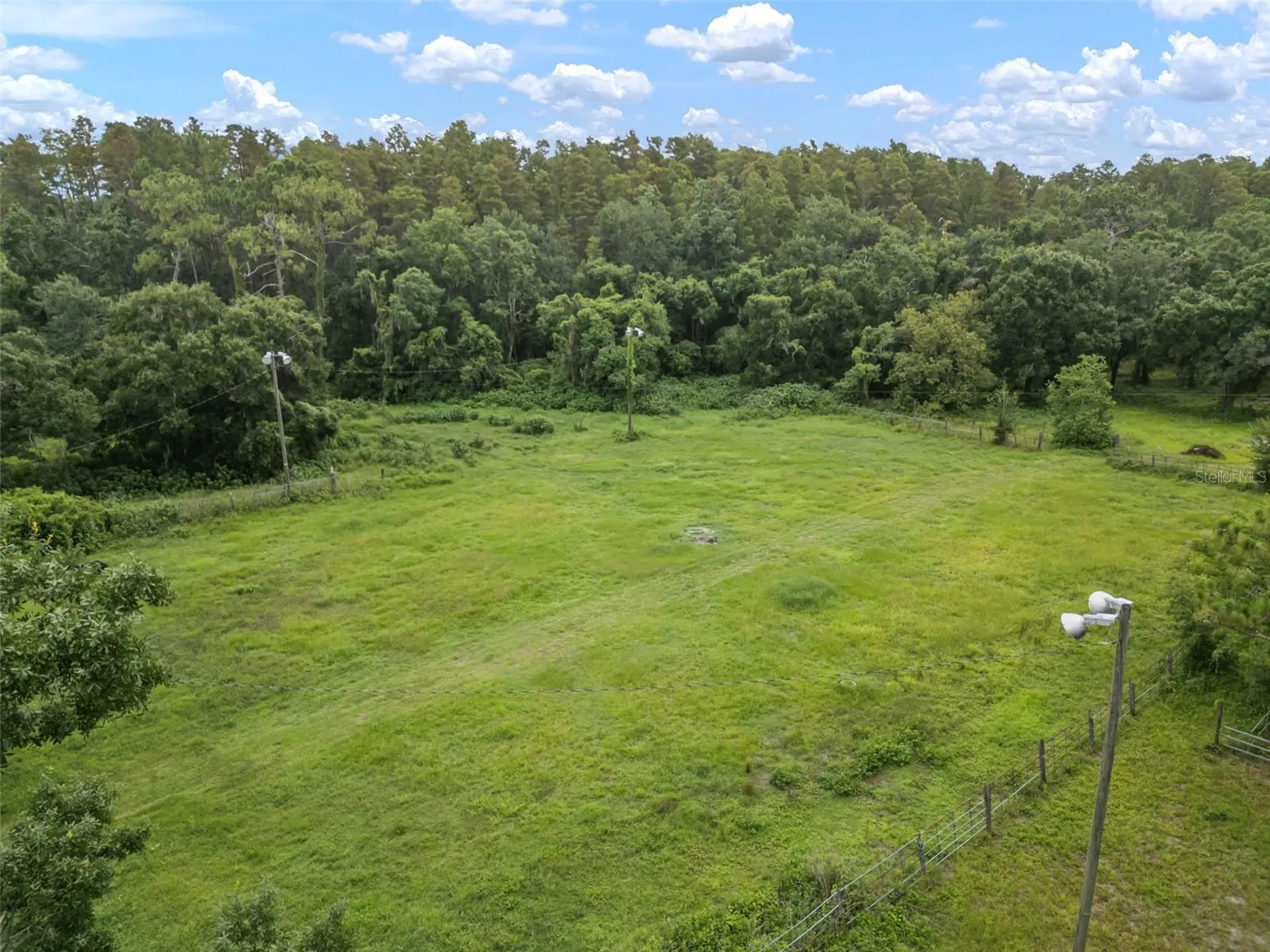 1934 Rowland Drive Odessa FL 33556
