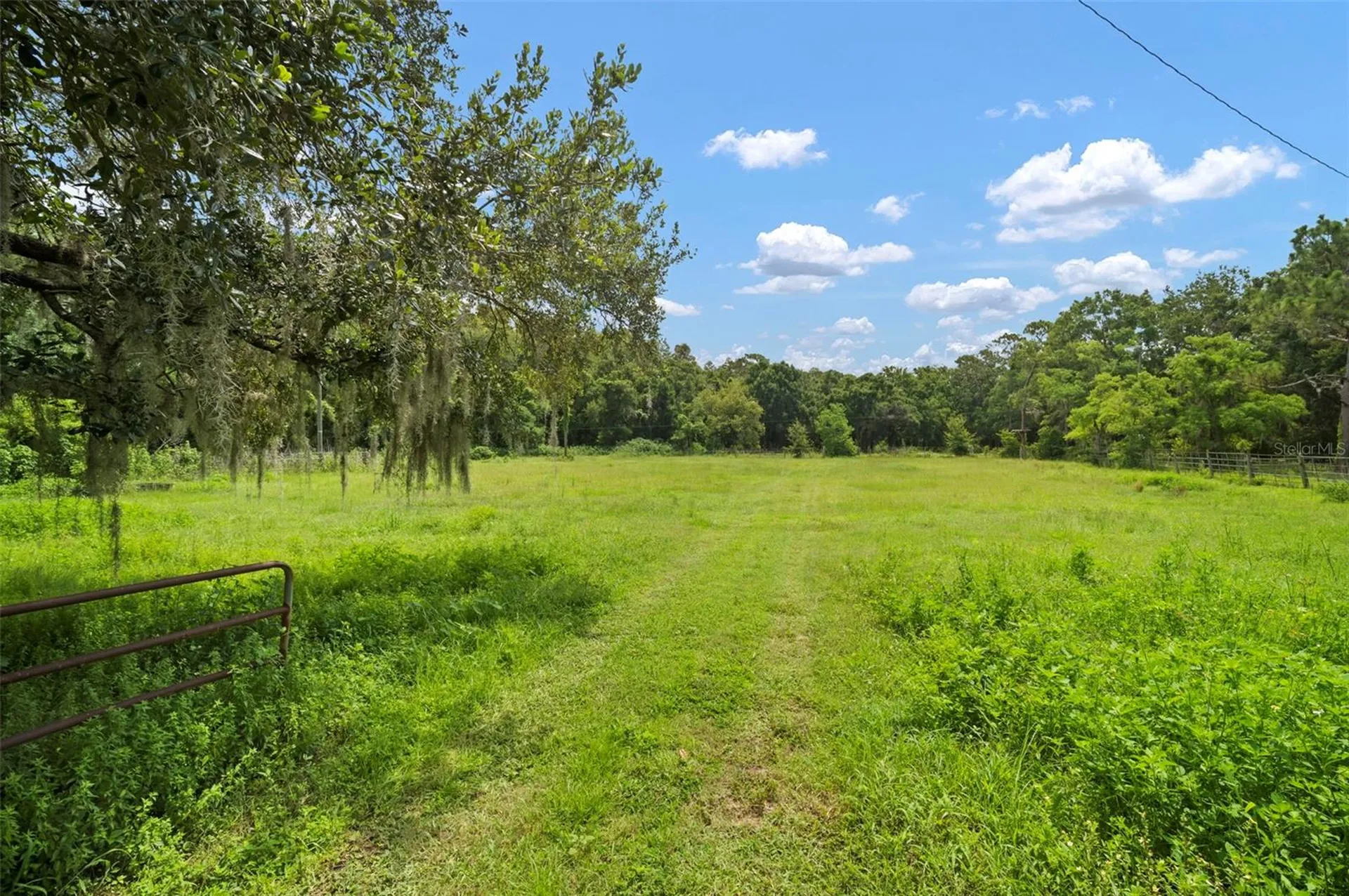 1934 Rowland Drive Odessa FL 33556