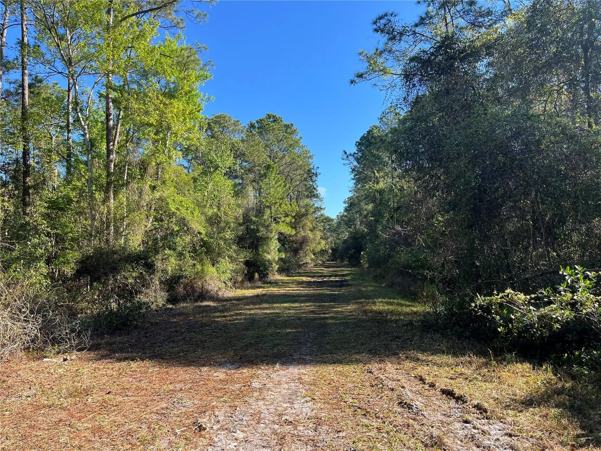 208 SE 3rd Street Georgetown FL 32139