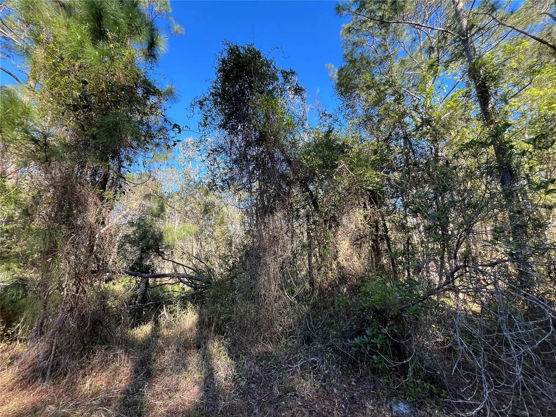 208 SE 3rd Street Georgetown FL 32139