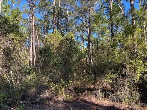 208 SE 3rd Street Georgetown FL 32139