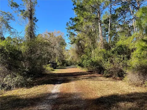 208 SE 3rd Street Georgetown FL 32139