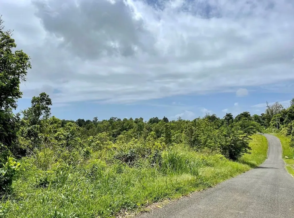 975 Ceiba, Bo Rio Abajo Ceiba PR 00735