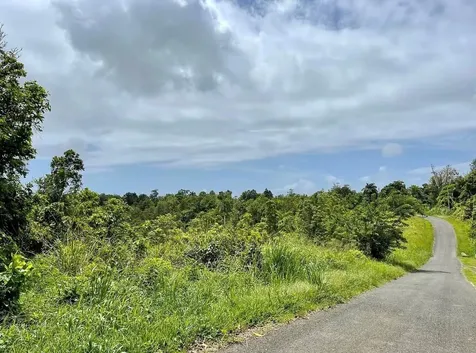 975 Ceiba, Bo Rio Abajo Ceiba PR 00735