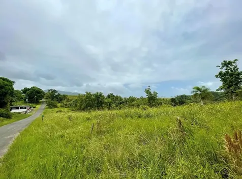 975 Ceiba, Bo Rio Abajo Ceiba PR 00735