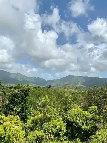 975 Ceiba, Bo Rio Abajo Ceiba PR 00735