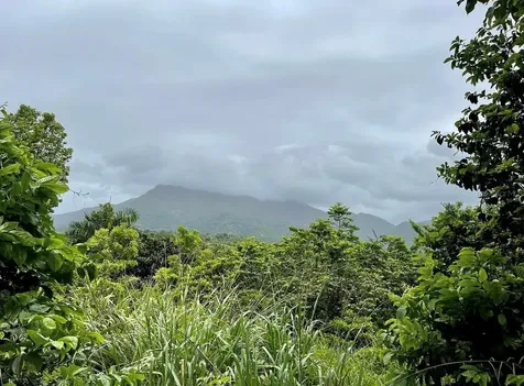975 Ceiba, Bo Rio Abajo Ceiba PR 00735