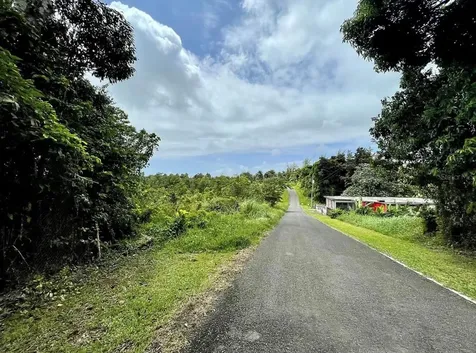 975 Ceiba, Bo Rio Abajo Ceiba PR 00735