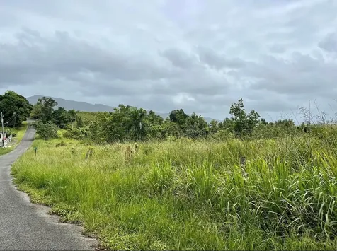 975 Ceiba, Bo Rio Abajo Ceiba PR 00735
