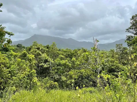 975 Ceiba, Bo Rio Abajo Ceiba PR 00735