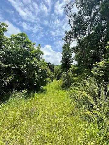 975 Ceiba, Bo Rio Abajo Ceiba PR 00735