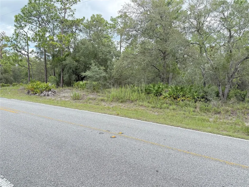 0 Fulton Avenue Weeki Wachee FL 34613