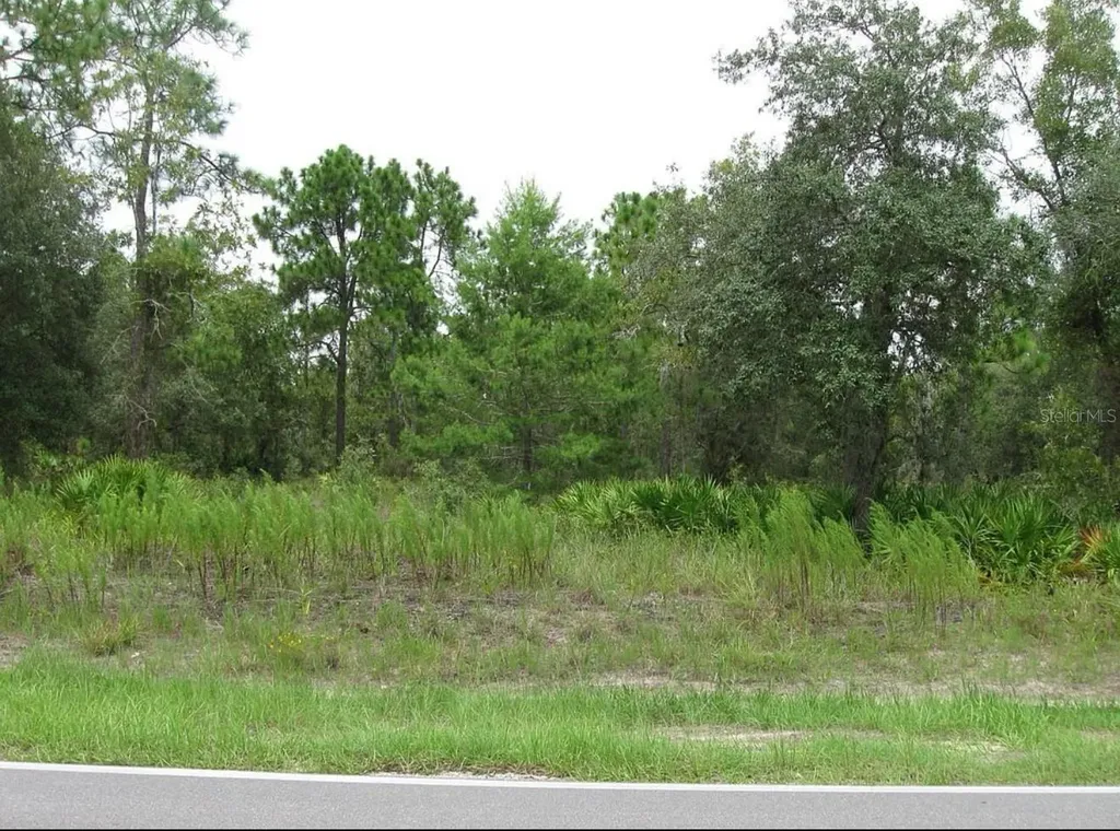0 Fulton Avenue Weeki Wachee FL 34613