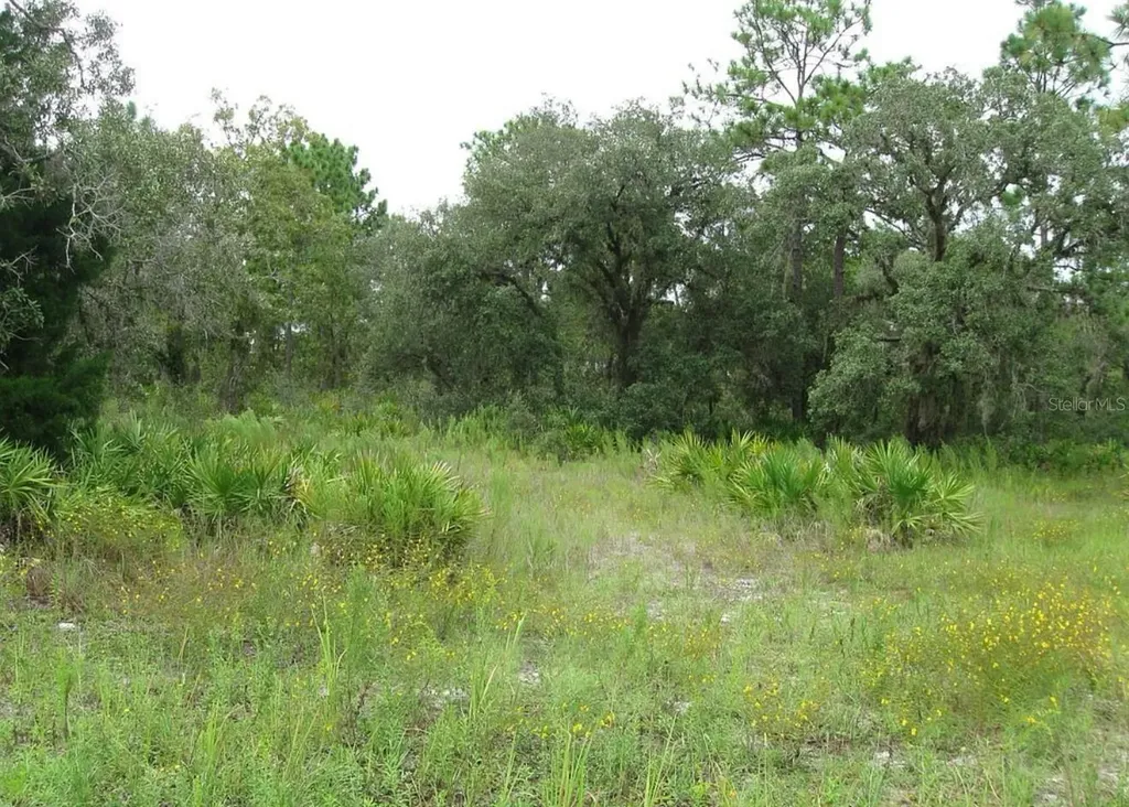 0 Fulton Avenue Weeki Wachee FL 34613