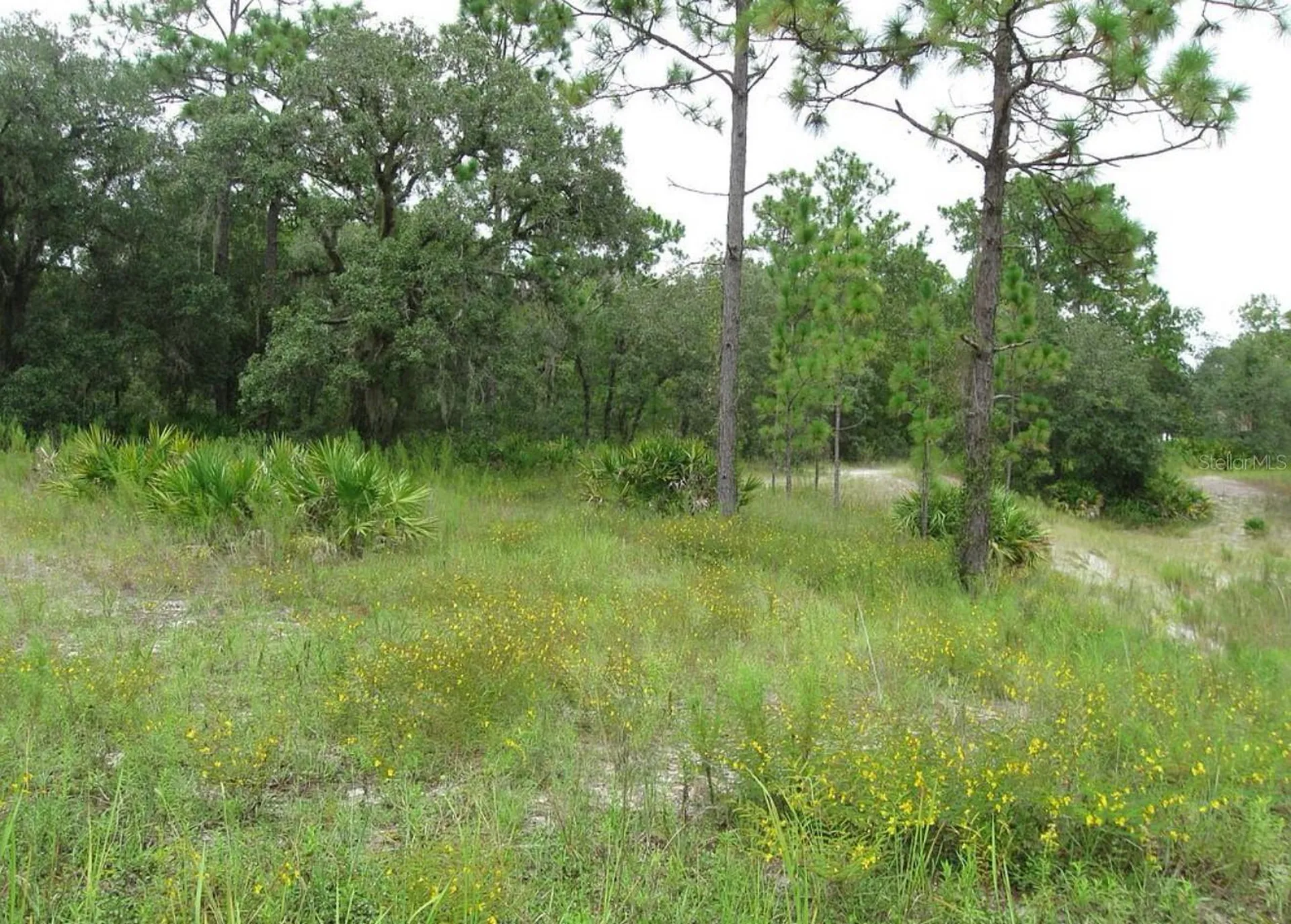 0 Fulton Avenue Weeki Wachee FL 34613