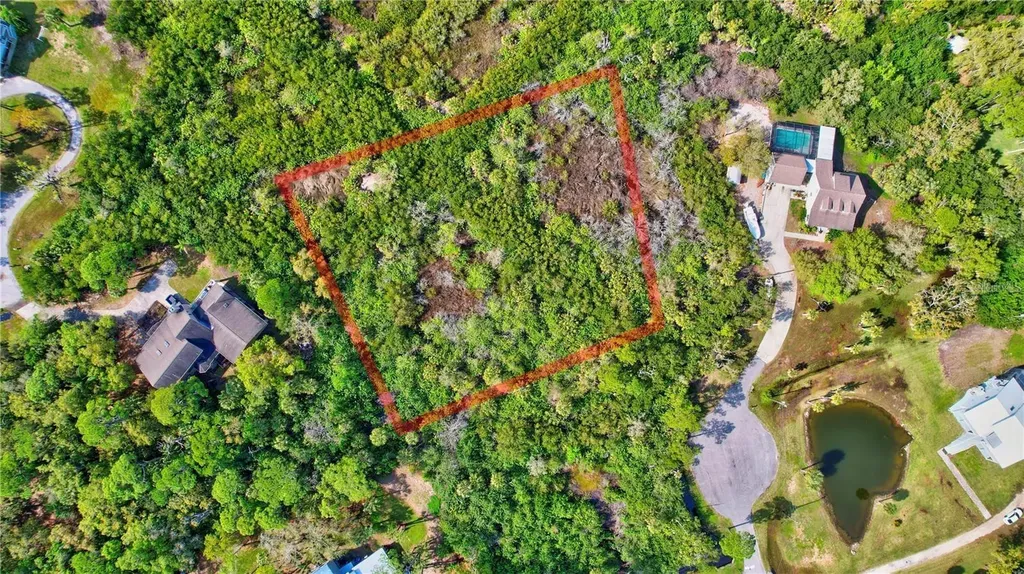 Strathmore Avenue Oldsmar FL 34677