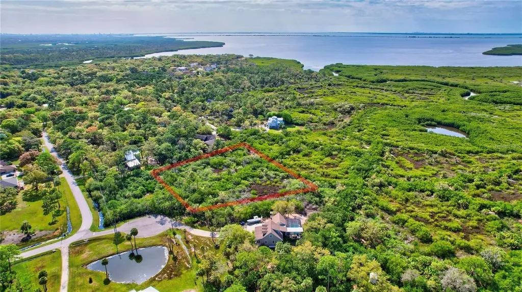 Strathmore Avenue Oldsmar FL 34677