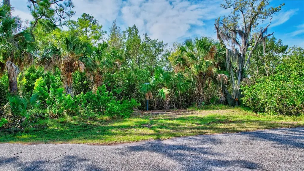 Strathmore Avenue Oldsmar FL 34677