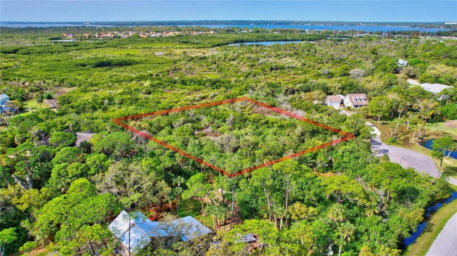 Strathmore Avenue Oldsmar FL 34677