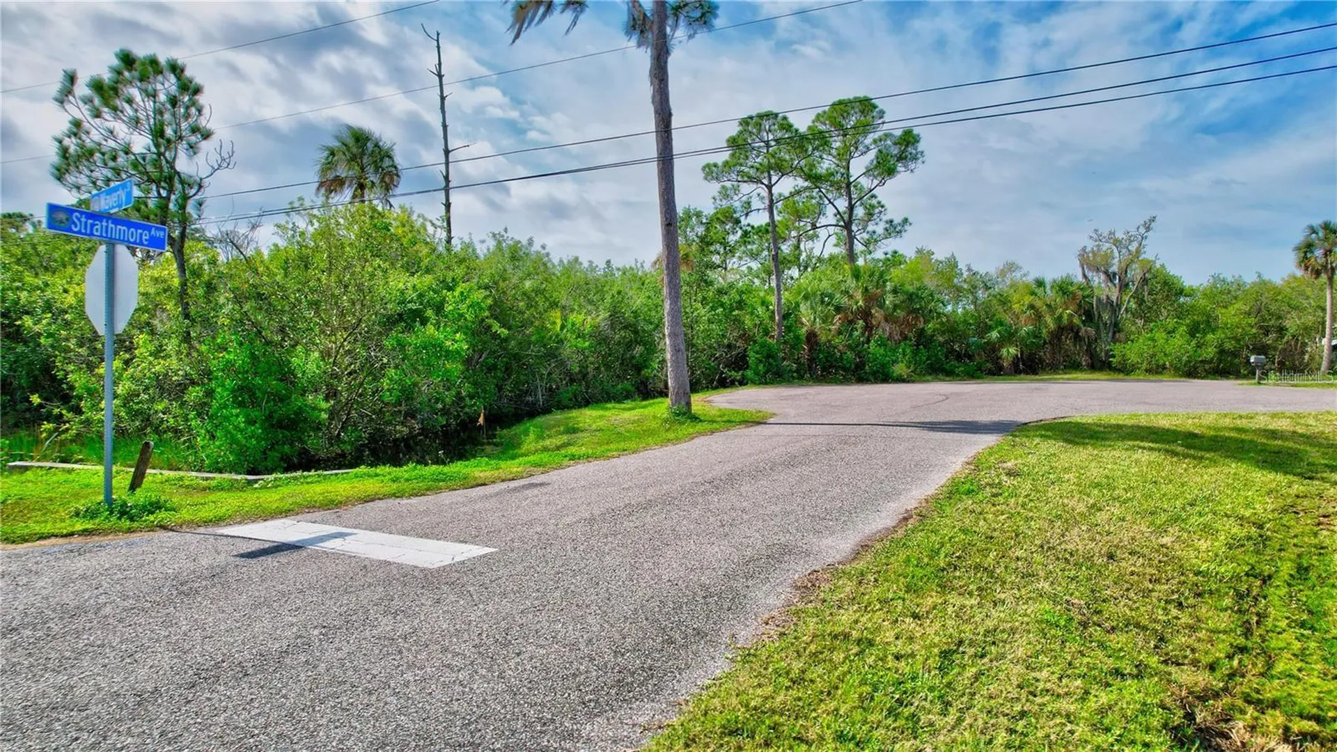 Strathmore Avenue Oldsmar FL 34677