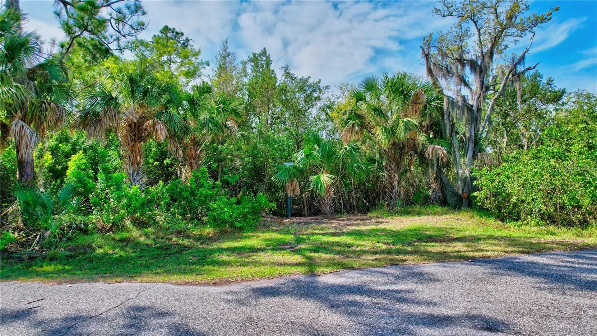 Strathmore Avenue Oldsmar FL 34677