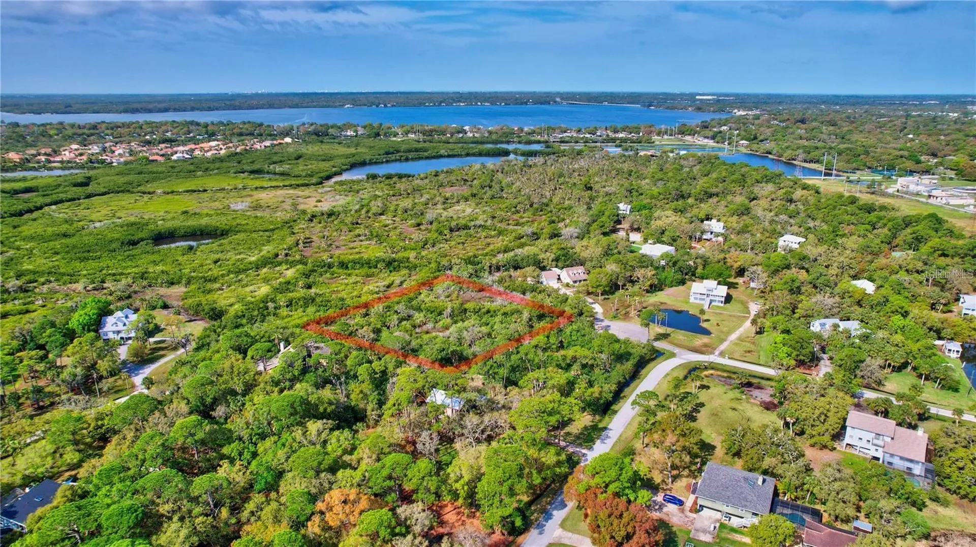 Strathmore Avenue Oldsmar FL 34677