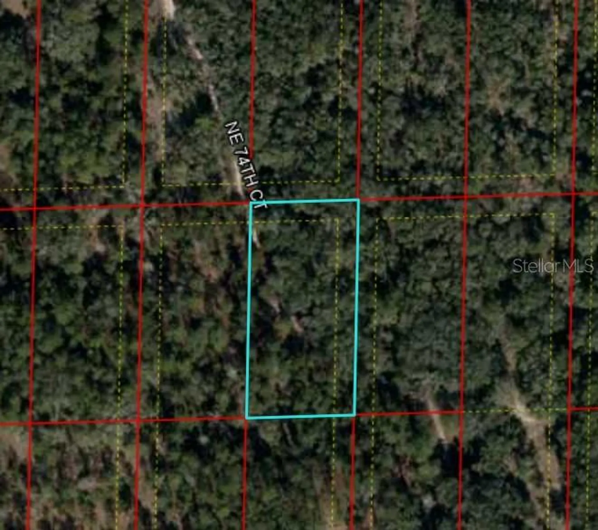 Bronson, Fl Bronson FL 32621
