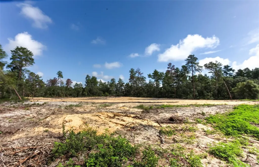 Tbd SW 32nd Circle Ocala FL 34473