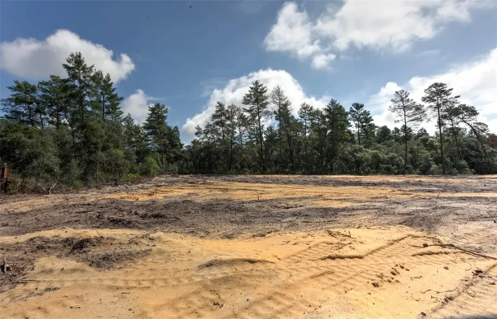 Tbd SW 32nd Circle Ocala FL 34473