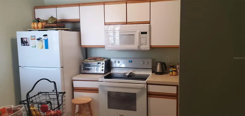 9517 Amberdale Court Riverview FL 33578