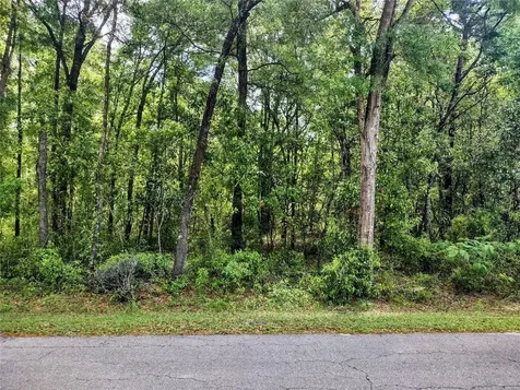 Tbd NE 5th Street Williston FL 32696