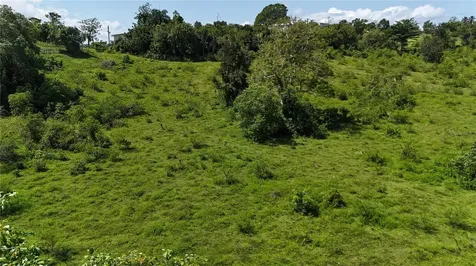 Carr. 445 Km. 3.4 Int. Barrio Saltos San Sebastian PR 00685
