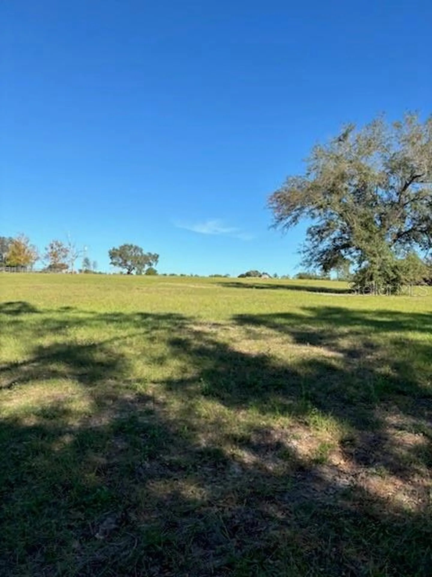 Windjammer Road Clermont FL 34715