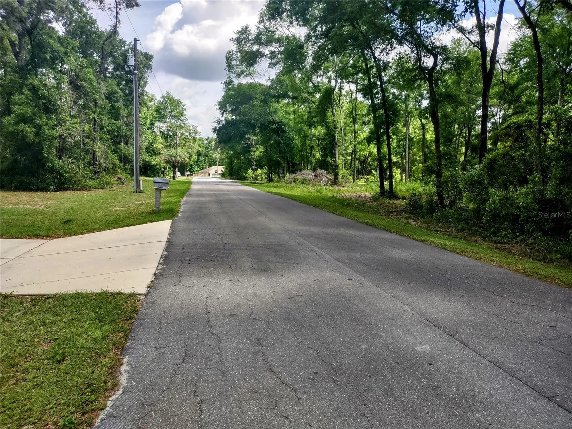 Tbd NE 12th Lane Williston FL 32696