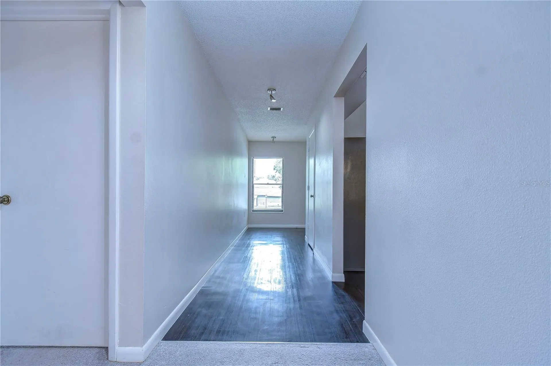 3505 Tarpon Woods Boulevard Palm Harbor FL 34685