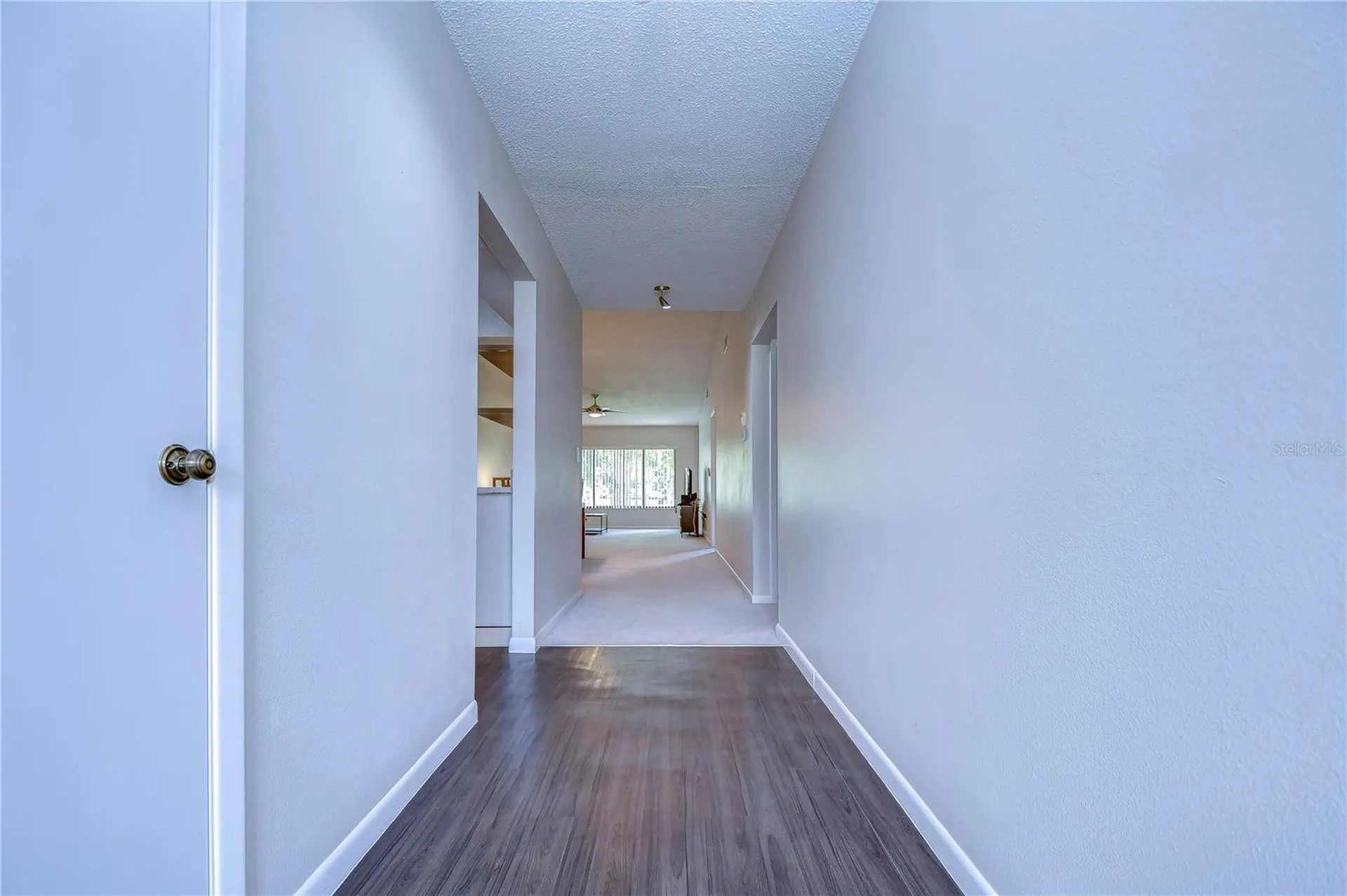 3505 Tarpon Woods Boulevard Palm Harbor FL 34685