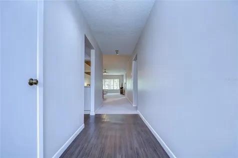 3505 Tarpon Woods Boulevard Palm Harbor FL 34685
