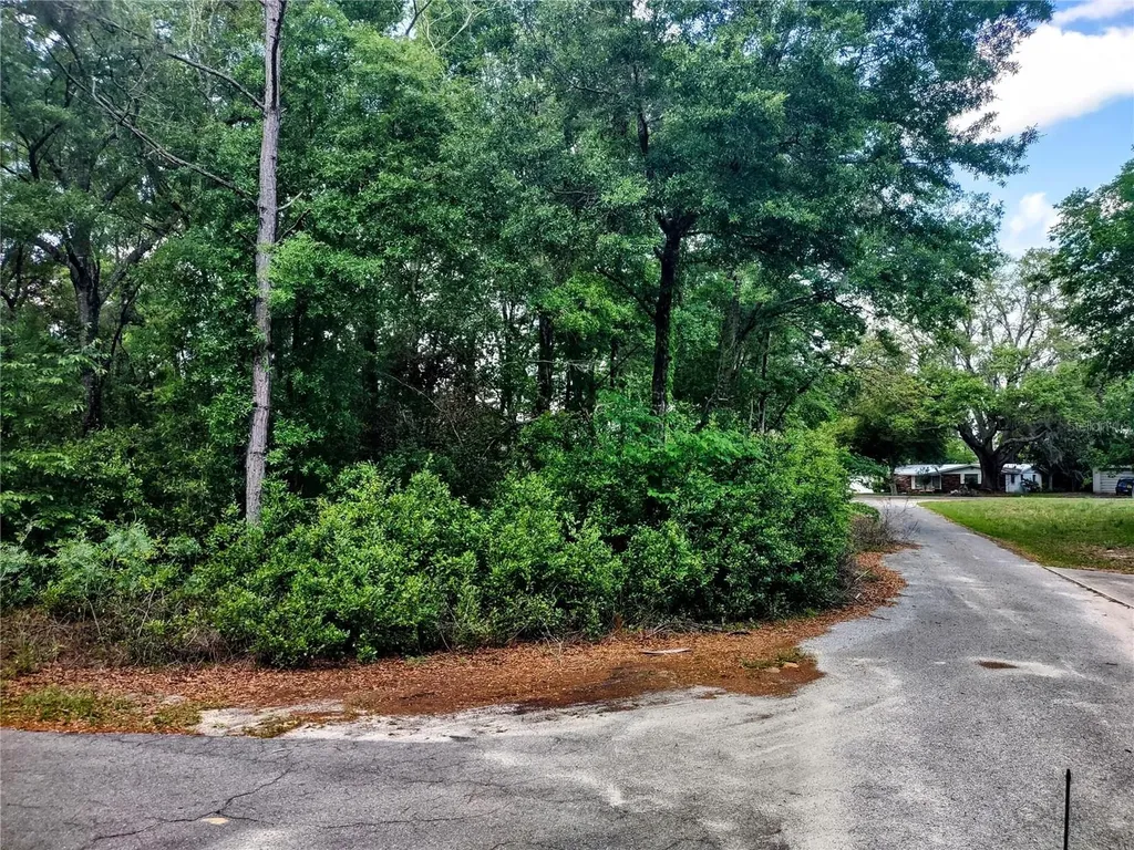 Tbd NE 12th Street Williston FL 32696