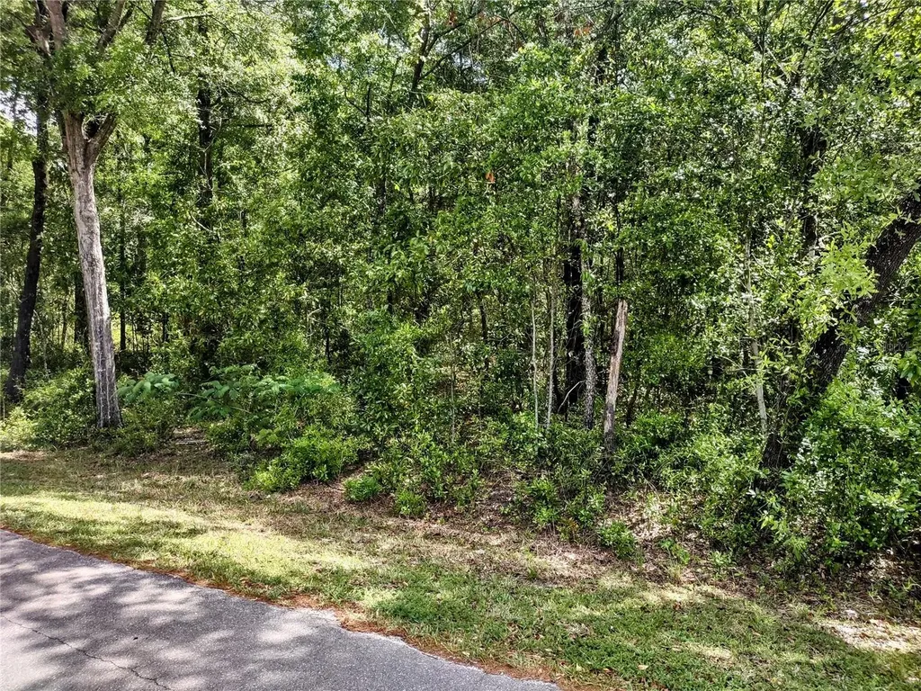 Tbd NE 12th Street Williston FL 32696