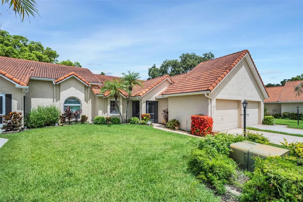 1164 Rustlewood Court Palm Harbor FL 34684
