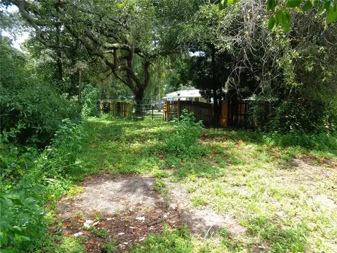 2878 NE 161st Street Citra FL 32113