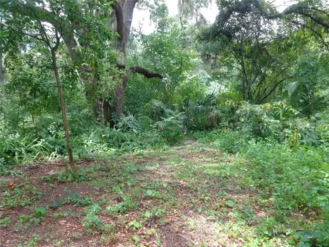2878 NE 161st Street Citra FL 32113