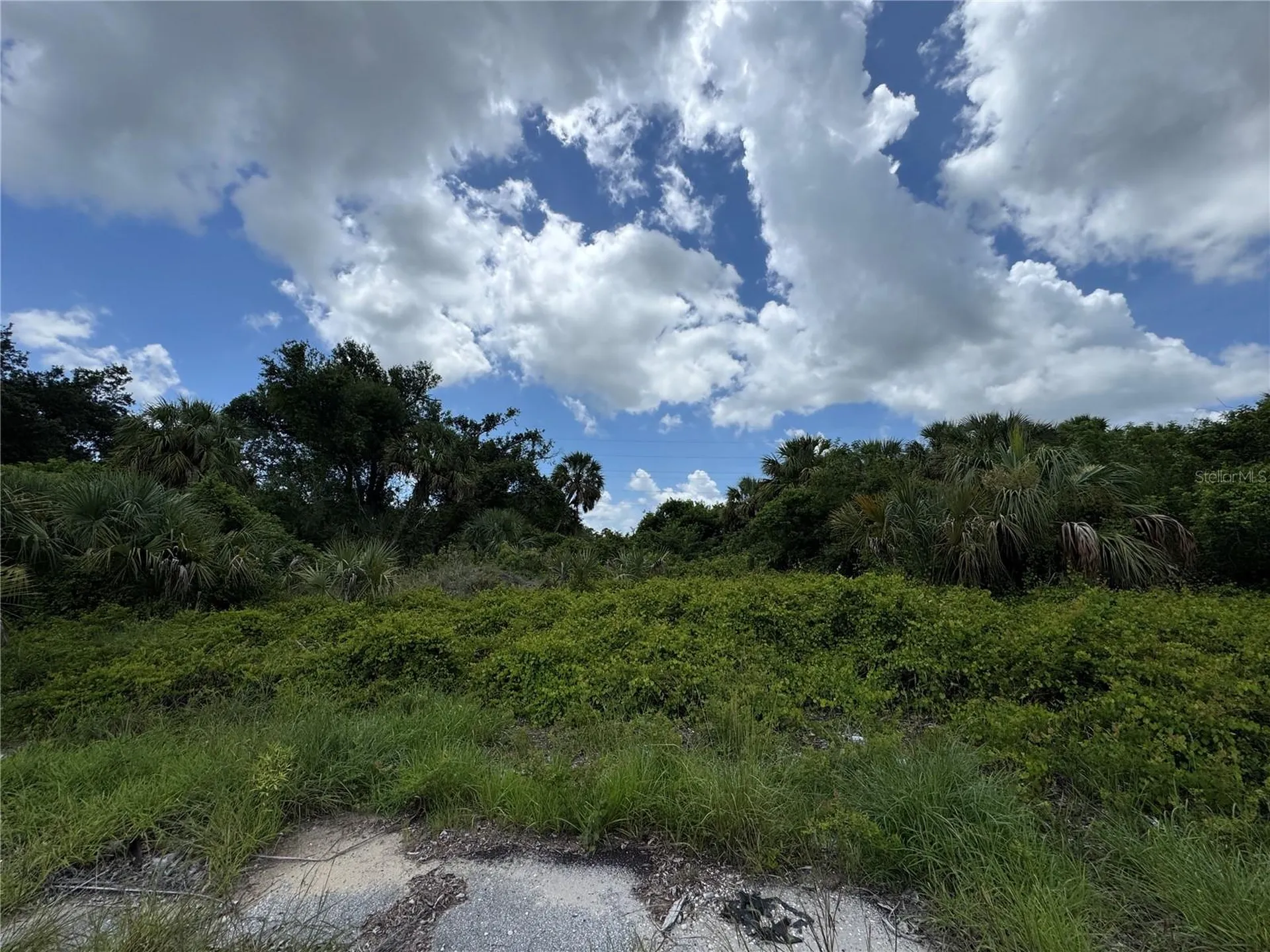 Nace Court North Port FL 34288