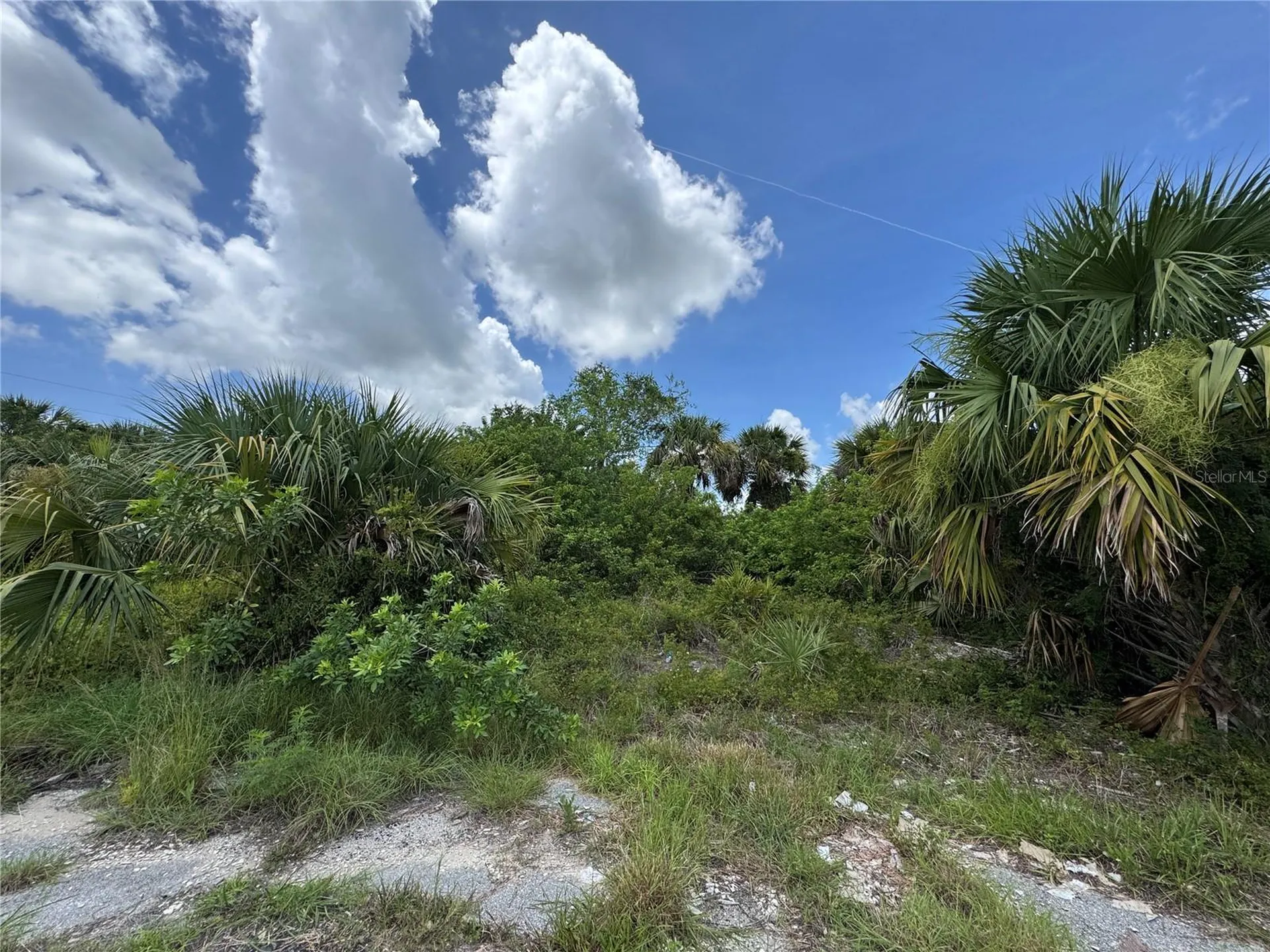 Nace Court North Port FL 34288