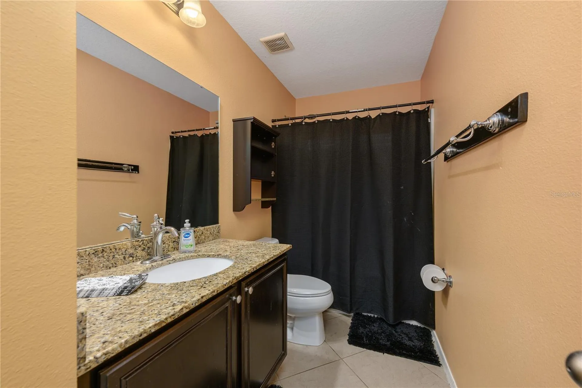 30304 Cheval Street Mount Dora FL 32757