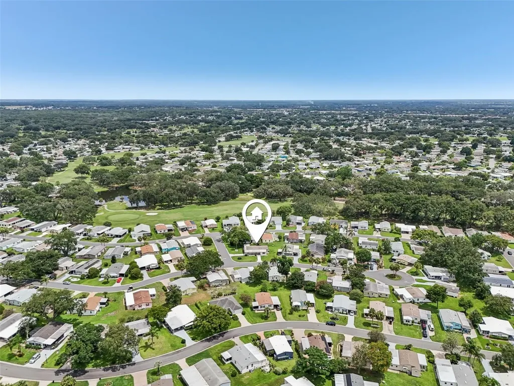 1802 Petunia Lane The Villages FL 32159