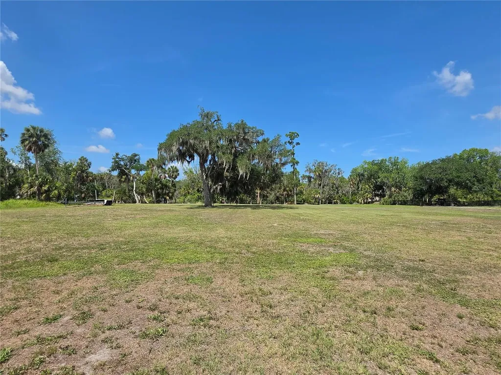 8331 Alafia Pointe Drive Riverview FL 33578